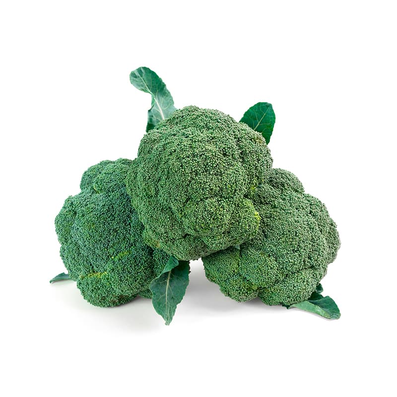 Bio Broccoli - Agroter