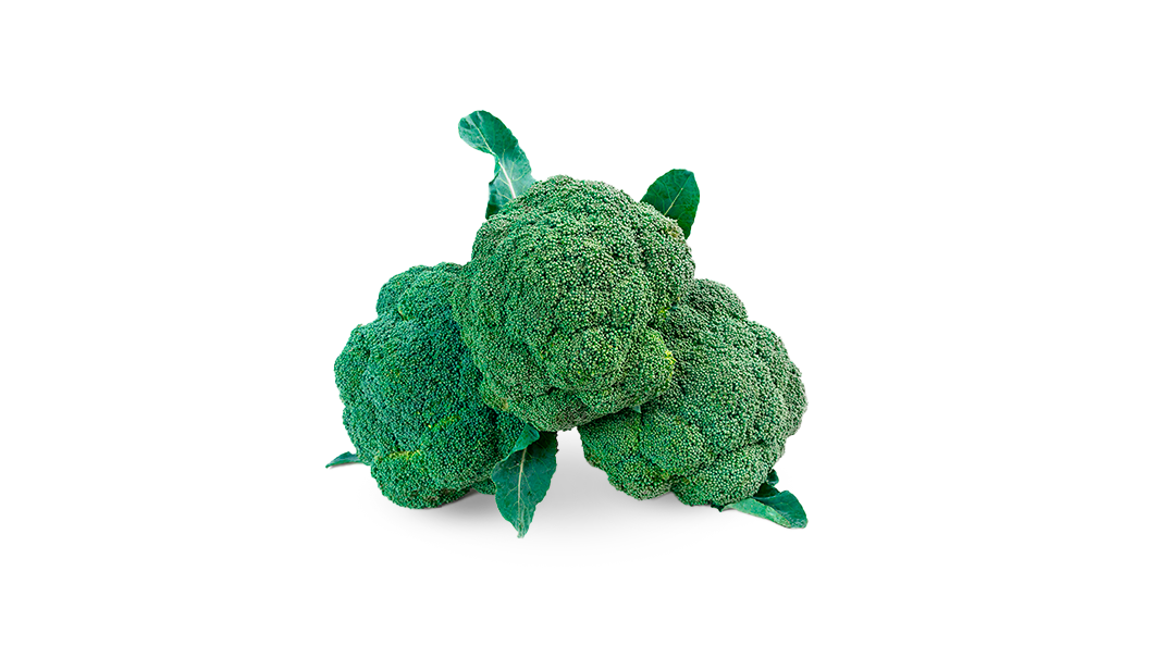 Agroter brócoli BIO